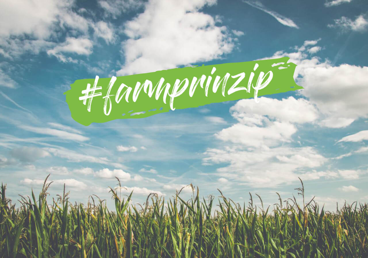 #farmprinzip – Maisfeld