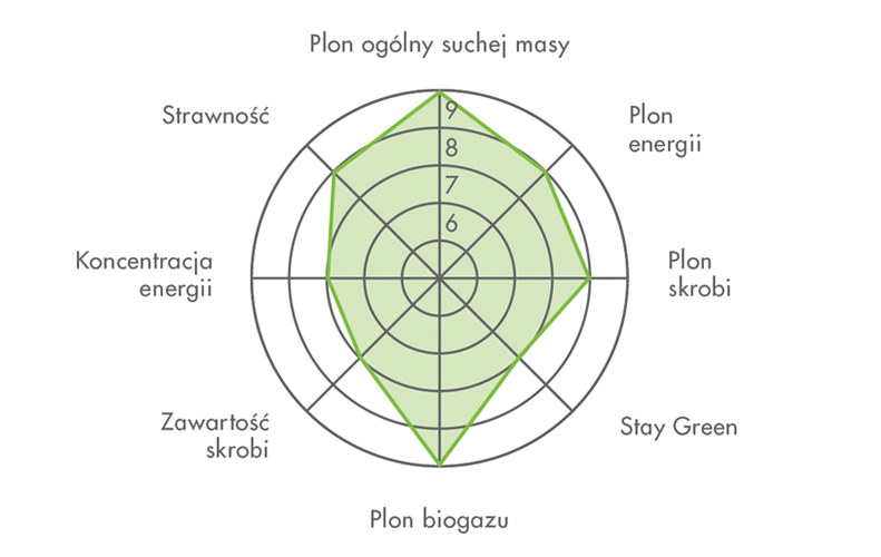 WYDAJNOŚĆ KISZONKI  FARMARQUEZ