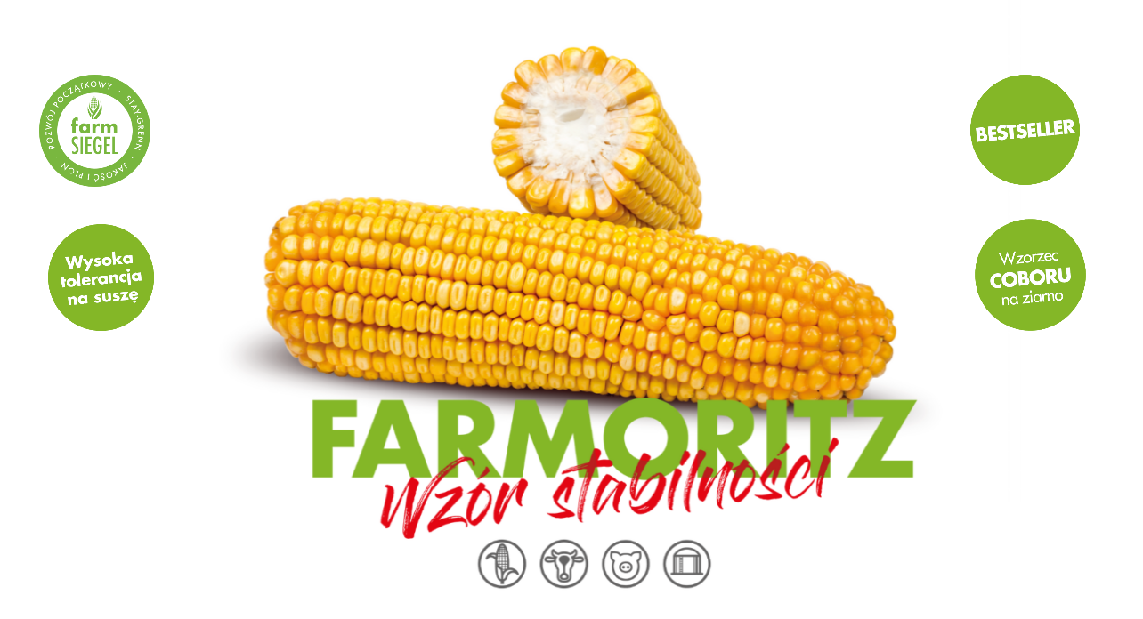 Farmoritz