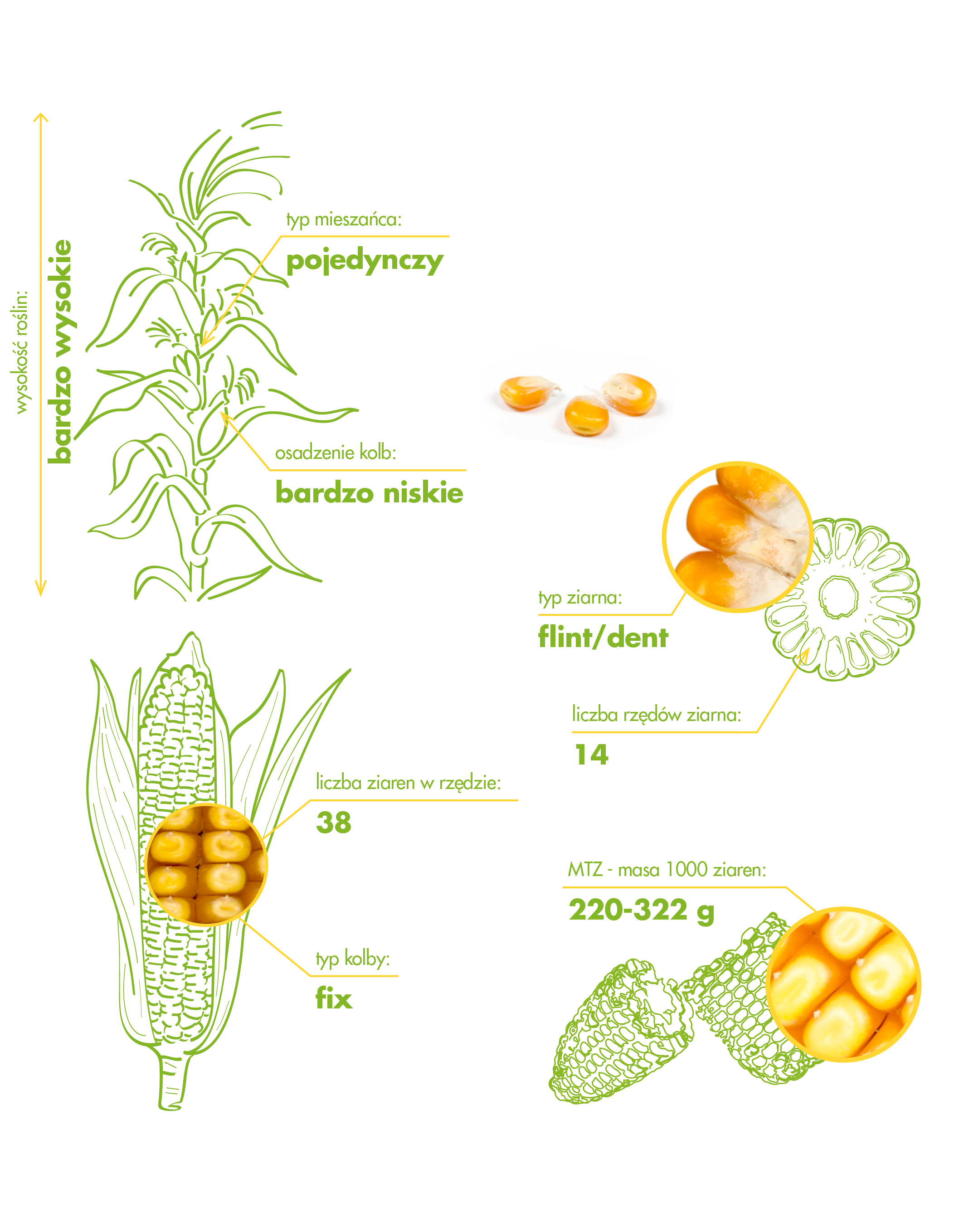 Farmfire_Morfologia