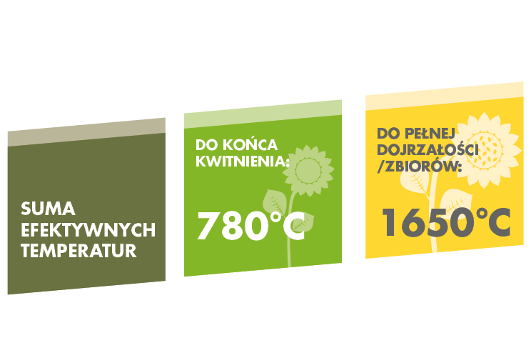 Orwell_Zakres_temperatur