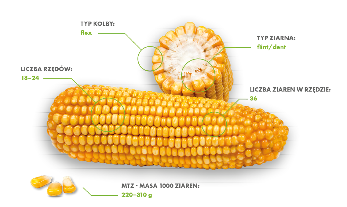 Farmueller