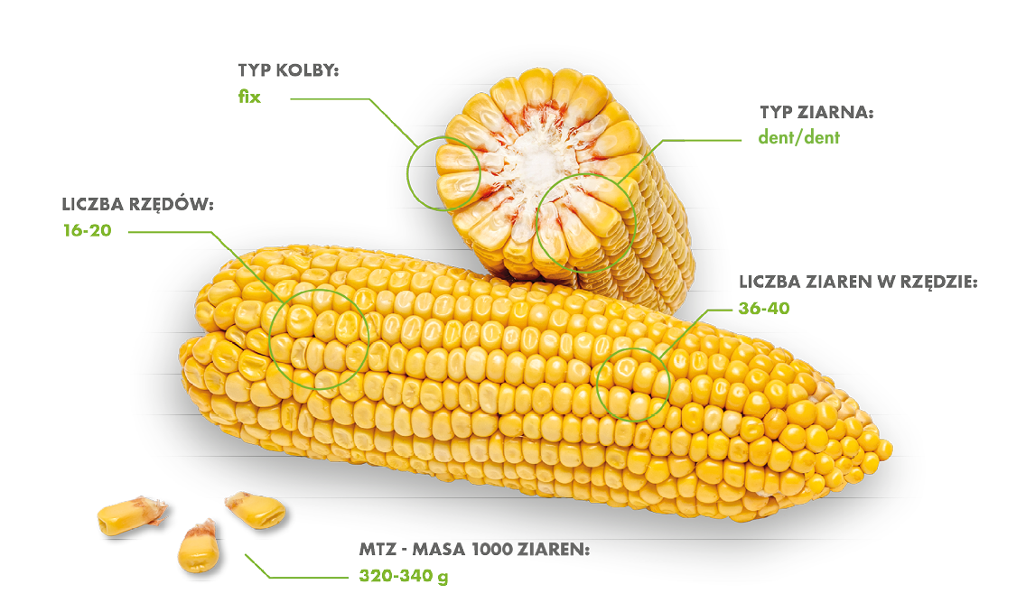 Farmpax(1)