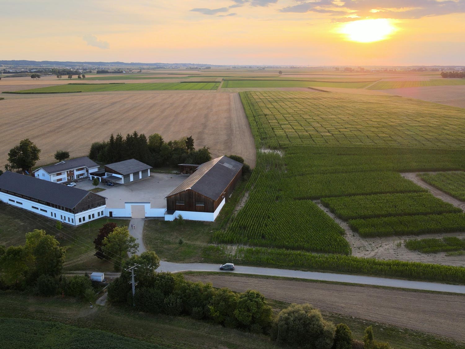 Luftaufnahme des Züchtungsbetriebs von farmsaat in Osterhofen umgeben von Feldern
