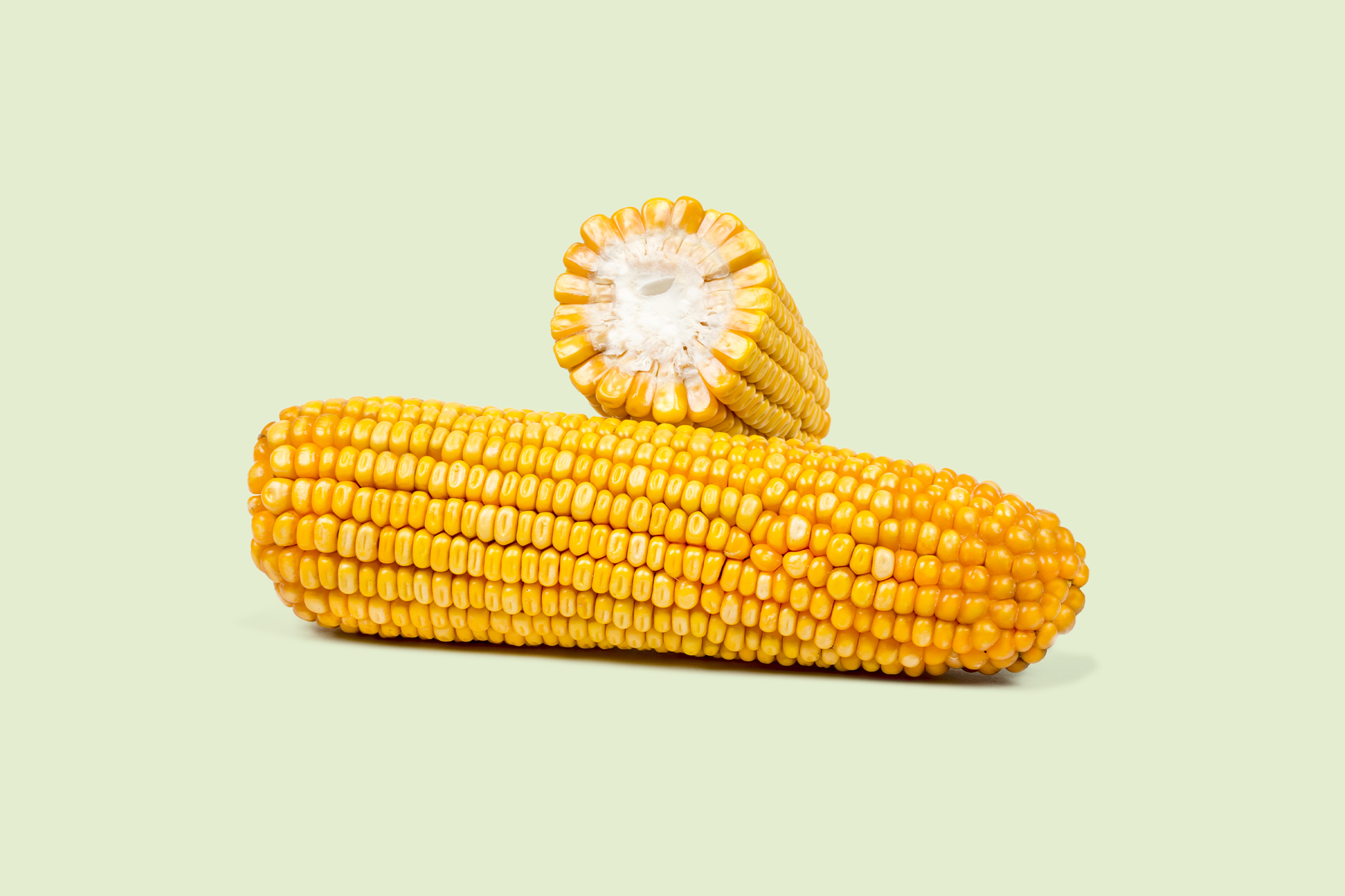 Maiskolben und Querschnitt eines Maiskolbens der Sorte Farmoritz